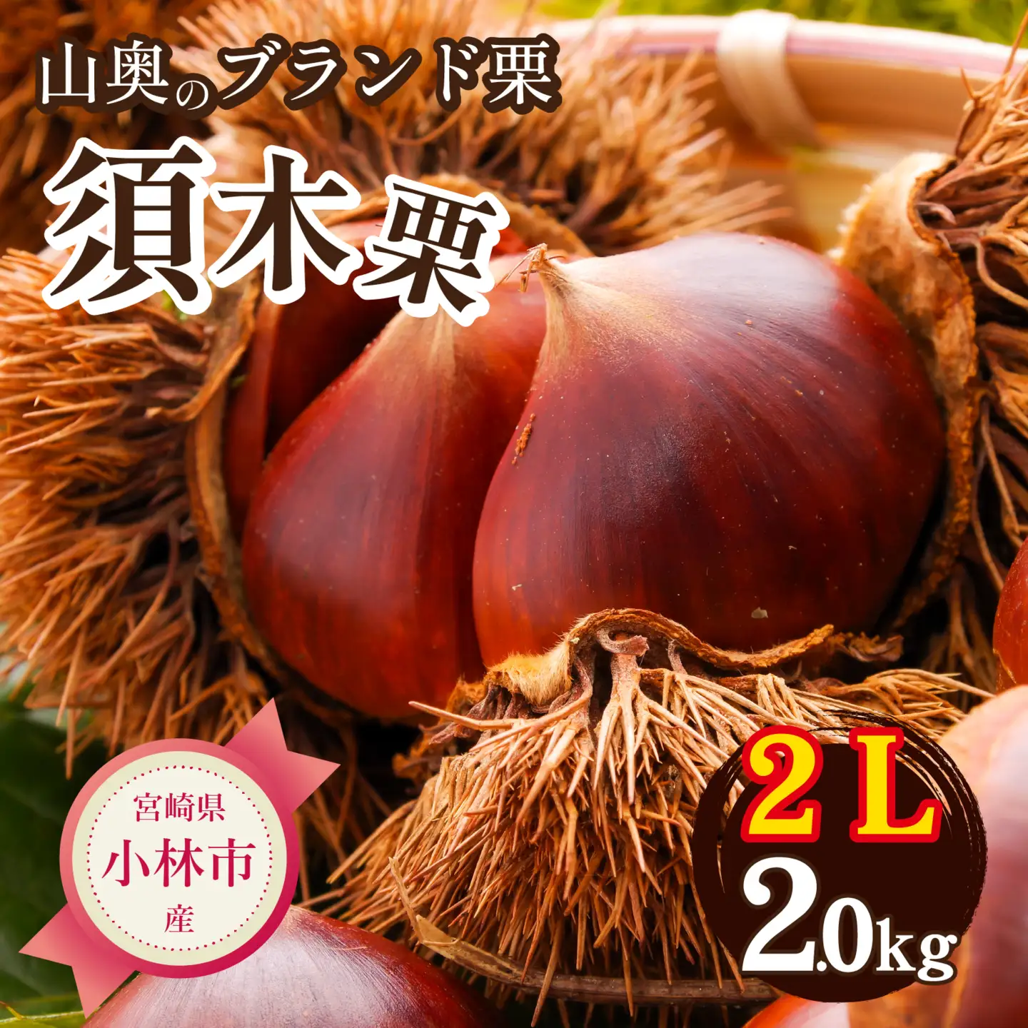 栗 【ブランド栗】須木栗 2Lサイズ以上 2kg 生栗 