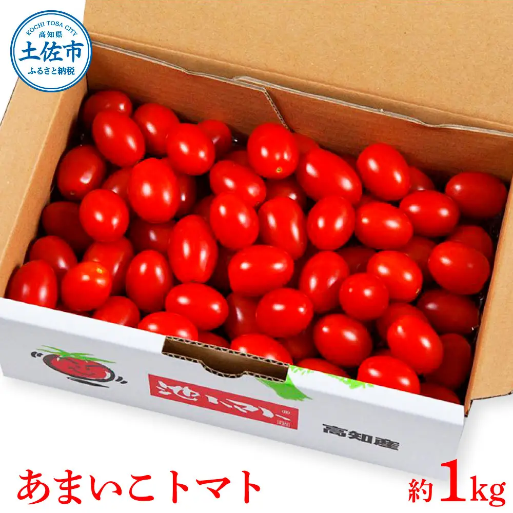 【先行予約】あまいこトマト 約1kg ＜2027年1月?発送＞ / トマト ミニトマト フルーツトマト 糖度7〜8度 高知県産 アイコ アイコトマト 健康 酸味控えめ 美味しい【池トマト】[BQAG025]