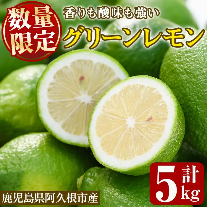 ＜先行予約受付中！2026年9月以降順次発送予定＞数量限定！リスボングリーンレモン(5kg)国産 果実 果物 リスボンレモン フルーツ 檸檬 柑橘 デザート 期間限定【桐野柑橘株式会社】akn070-14