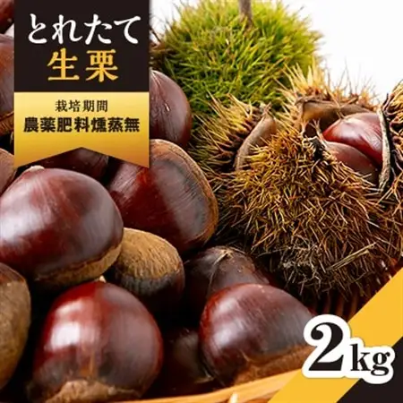 厳選品種生栗2kg　三ツ星フレンチ使用　サイズ小　_生栗 無農薬 有名フレンチ くり_【配送不可地域：離島】【1434373】