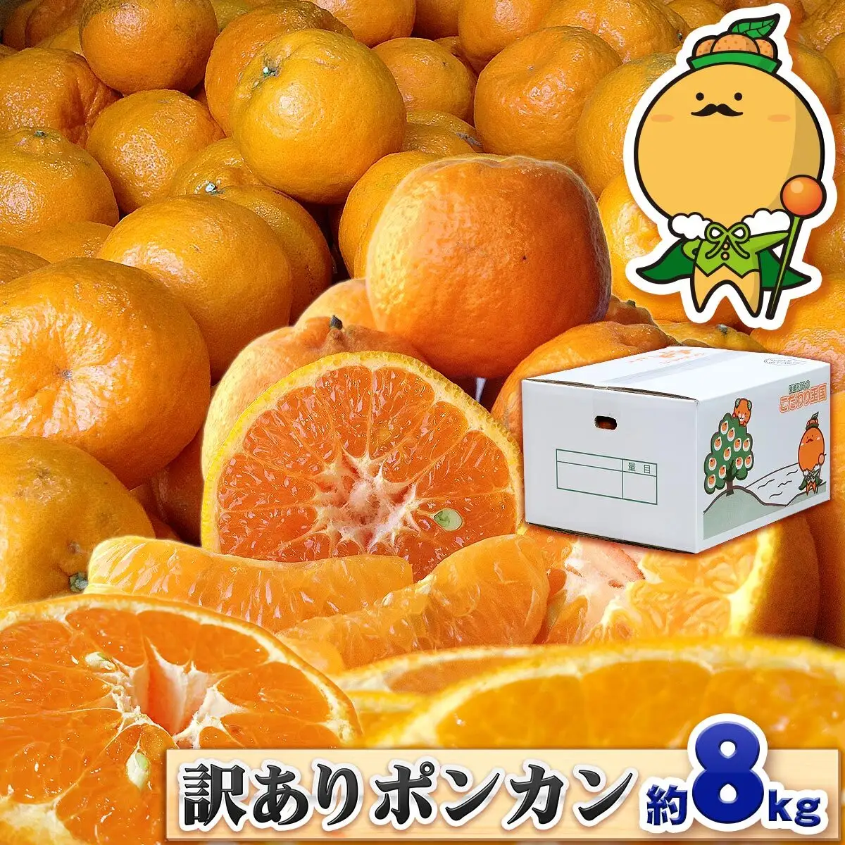 訳あり ポンカン 8kg 先行予約 中井屋 愛媛みかん 愛媛みかん B010-173003