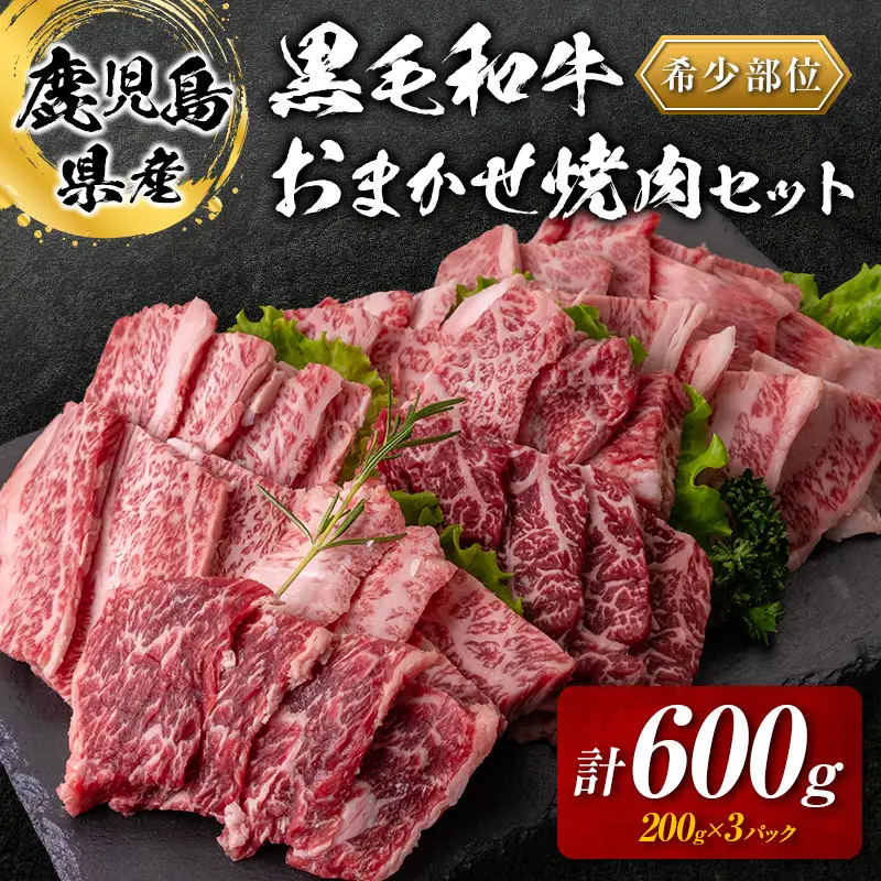 鹿児島県産 黒毛和牛 おまかせ 焼肉 600g K002-046 肉 牛肉 冷凍