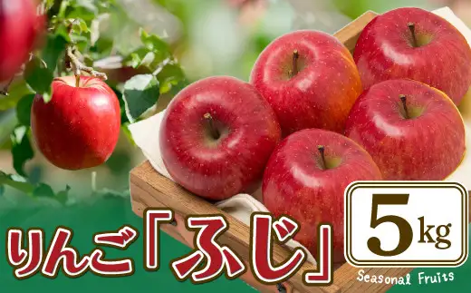 【先行予約】数量限定・期間限定 R8年産【陽気な母さんの店】りんご「ふじ」(5kg) 75P3408【陽気な母さんの店 】