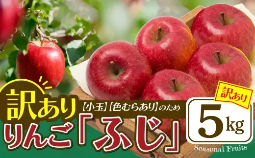 【先行予約】数量限定・期間限定 R8年産【陽気な母さんの店】訳ありりんご「ふじ」（5kg）　50P009001【陽気な母さんの店 】