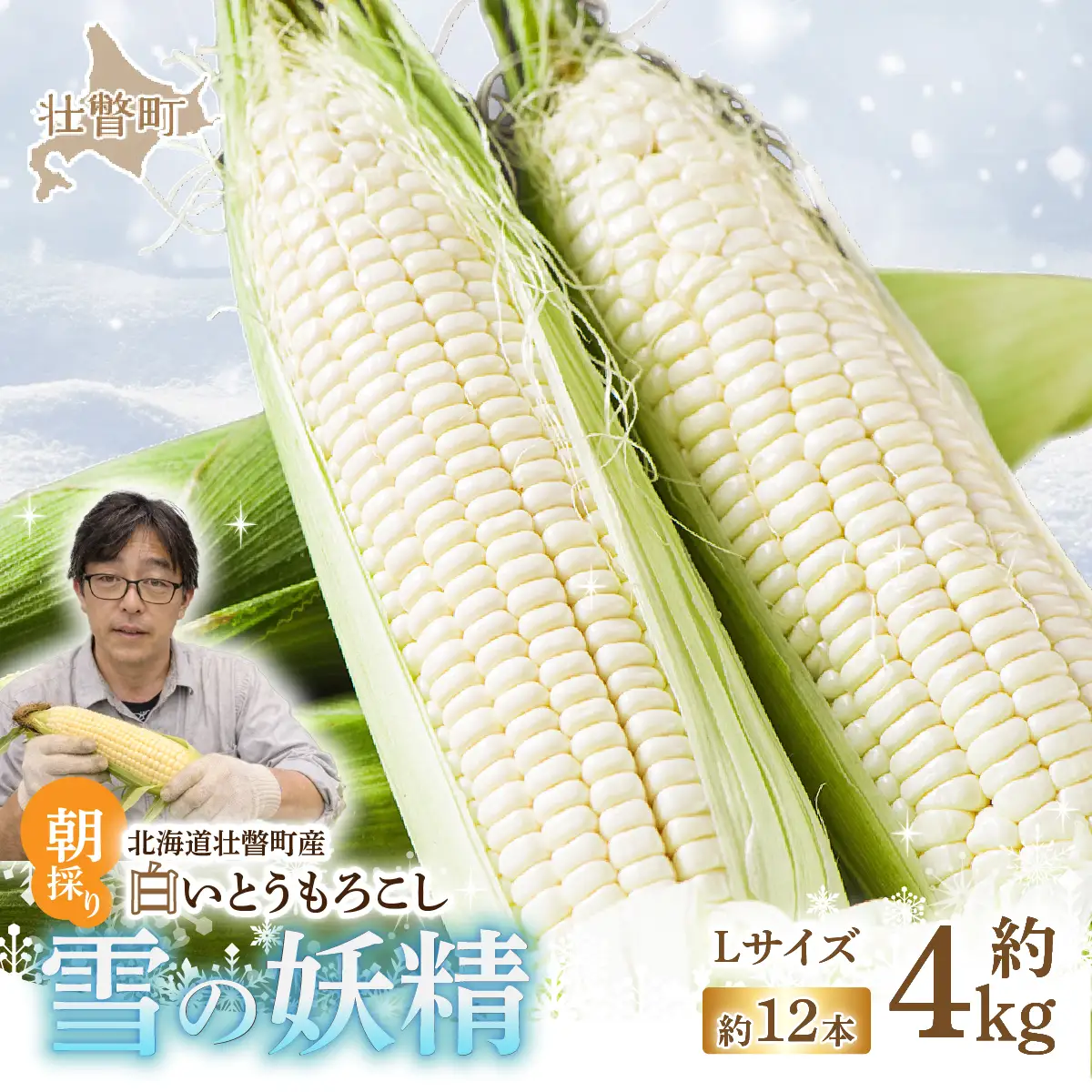＜2026年8月下旬よりお届け＞【朝採り】北海道壮瞥産 白いとうもろこし「雪の妖精」Lサイズ12本(約4kg) SBTQ001