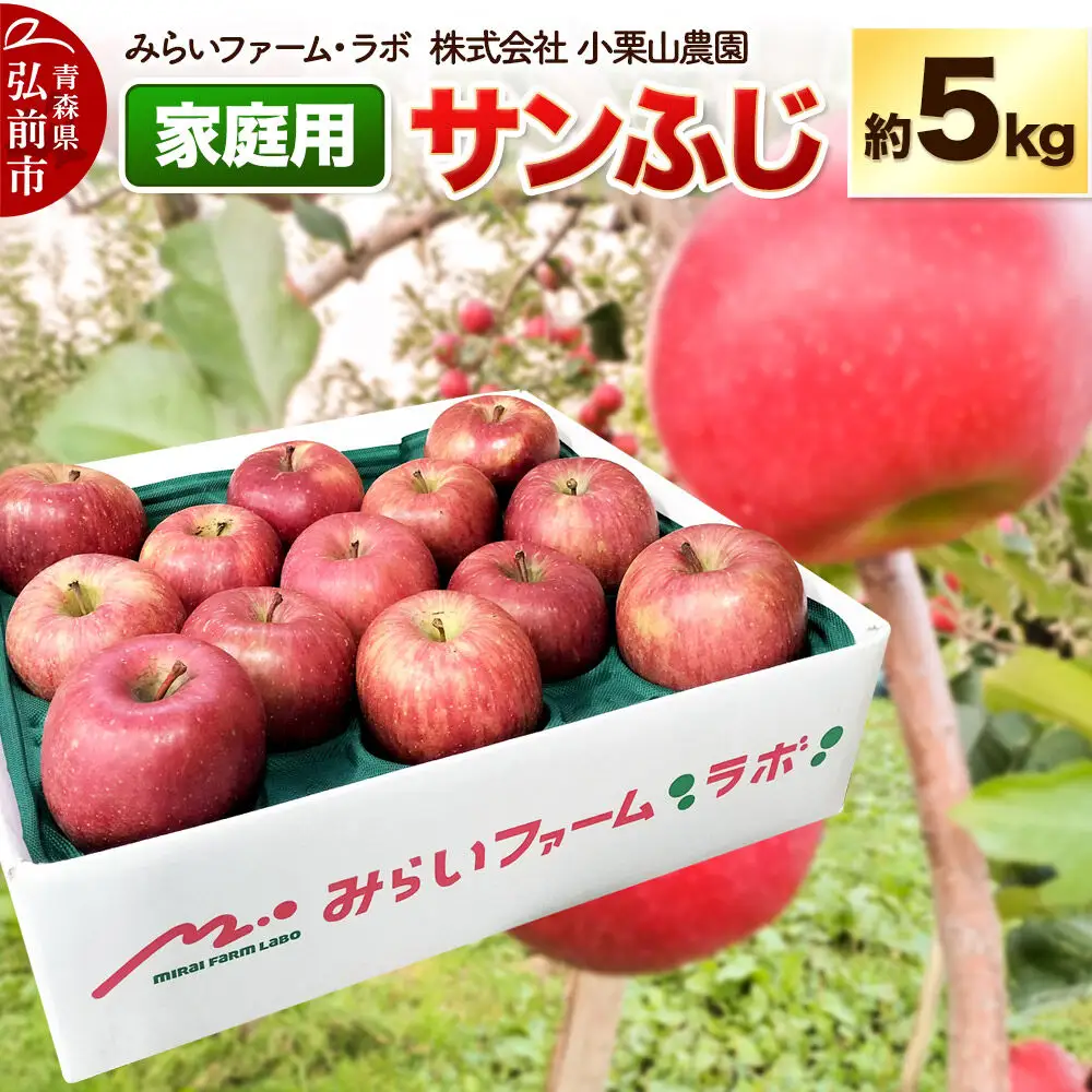 【26年12月発送】りんご【家庭用】サンふじ 約5kg 先行受付