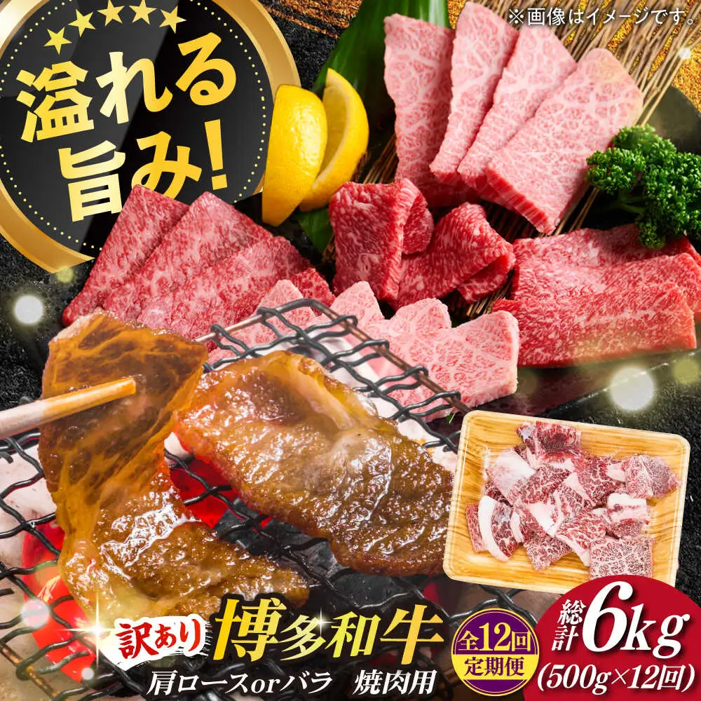 切り落し 【全12回定期便】 【訳あり】 500g  [ABBP153] 切り落し