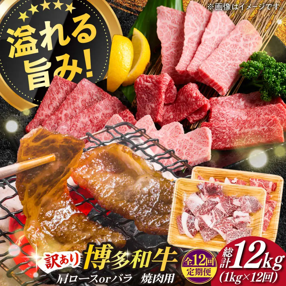 切り落し 【全12回定期便】 【訳あり】 1kg  [ABBP156] 切り落し