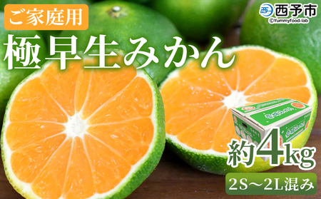 【先行予約】＜極早生みかん ご家庭用 約4kg＞ ご家庭用 果物 フルーツ みかん ミカン 蜜柑 オレンジ 柑橘 食べて応援 特産品 宇都宮物産 愛媛県 西予市 【常温】『2026年9月下旬～10月中旬迄に順次出荷予定』UUB0040