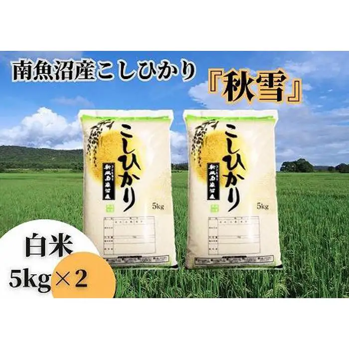 【令和8年 新米予約 全３回定期便】南魚沼産コシヒカリ「秋雪」白米10kg（5kg×2袋）×3回 新潟県の特A地区南魚沼市の美味しいお米【2026年10月上旬より1ヶ月以内に順次発送予定】｜コシヒカリ