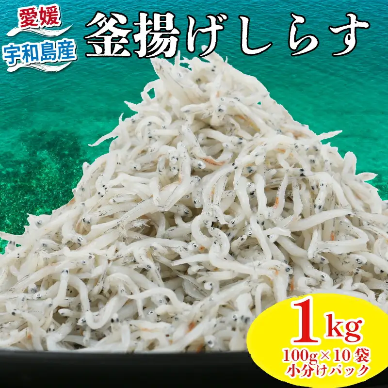 しらす 釜揚げしらす 100g × 10袋 計 1kg 時栄水産 釜揚げ 冷凍 小分け 魚 さかな sirasu 国産しらす ちりめん じゃこ 鰯 いわし しらす丼 海鮮丼 ご飯 おつまみ 加工品 ふりかけ 海の幸 魚介 小魚 離乳食 おすすめ 人気 産地直送 数量限定 国産 愛媛 愛媛県産 宇和島 D010-174001