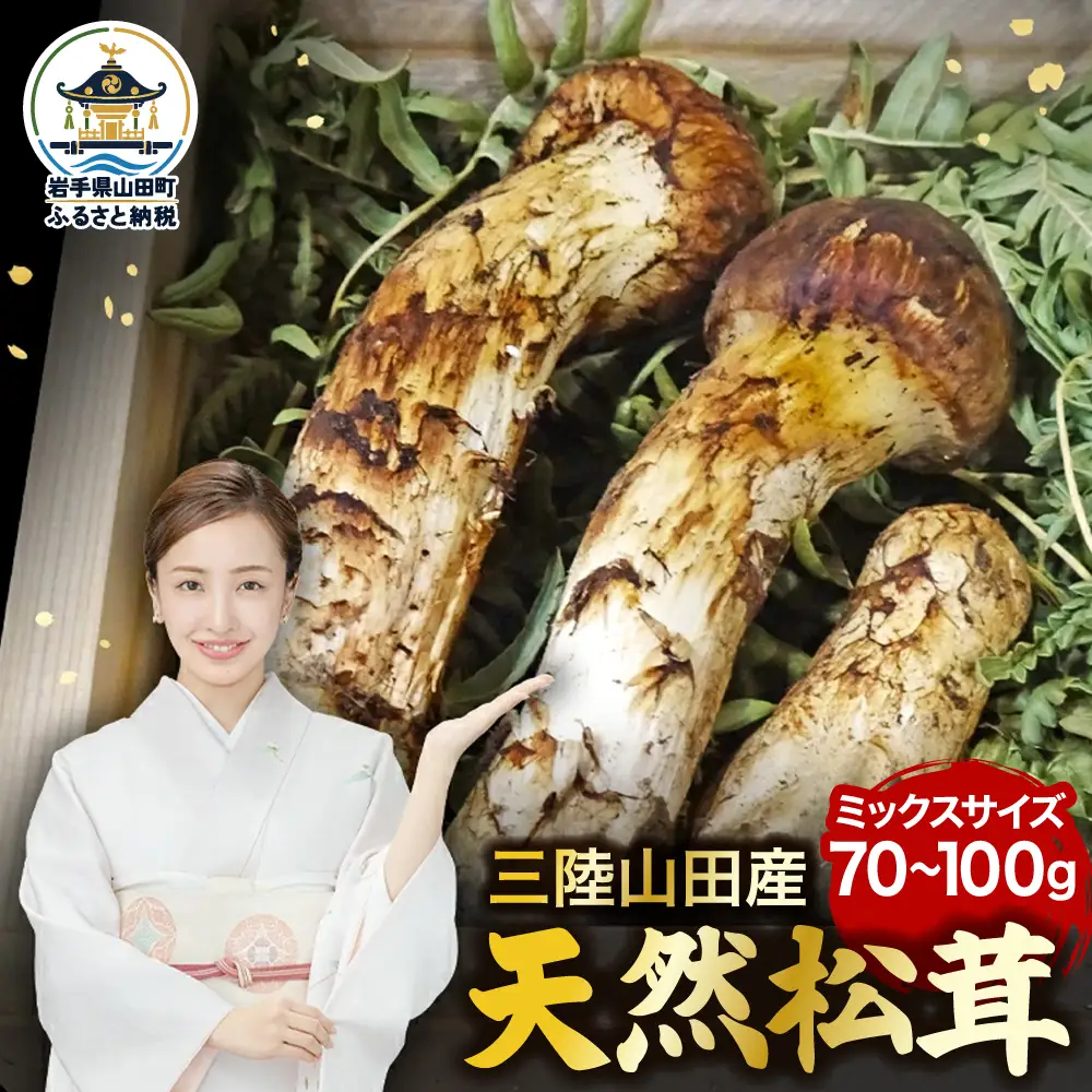 ≪2026年先行予約 9月中旬～11月下旬発送予定！≫ 三陸山田産松茸（ミックスサイズ） 三陸山田 山田町 まつたけ マツタケ 野菜 山田産野菜 【ベルアクト】