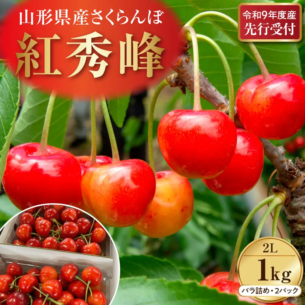 さくらんぼ 紅秀峰 秀以上 2L 1kg 令和9年産 さくらんぼ