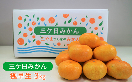 みかん 三ヶ日みかん 光センサー選果 果物類 柑橘類 みかん