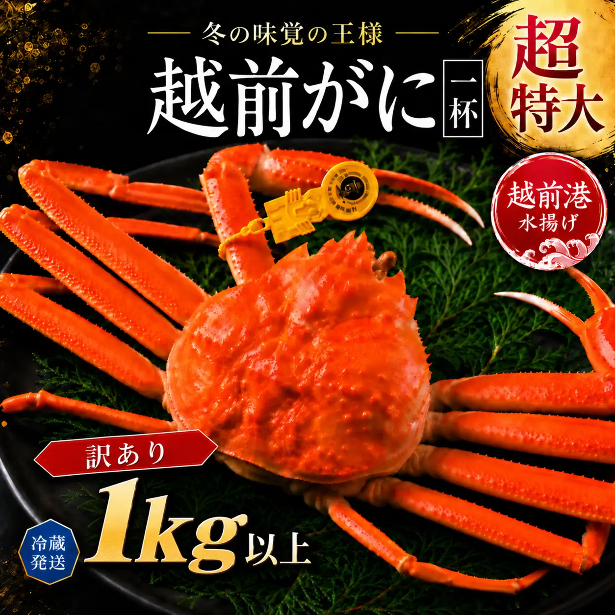越前がに(オス)特大サイズ訳あり　1kg以上× 1杯　越前ガニ　冷蔵