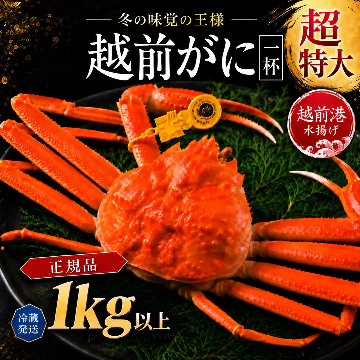 越前がに(オス)特大サイズ　1kg以上× 1杯　越前ガニ　冷蔵
