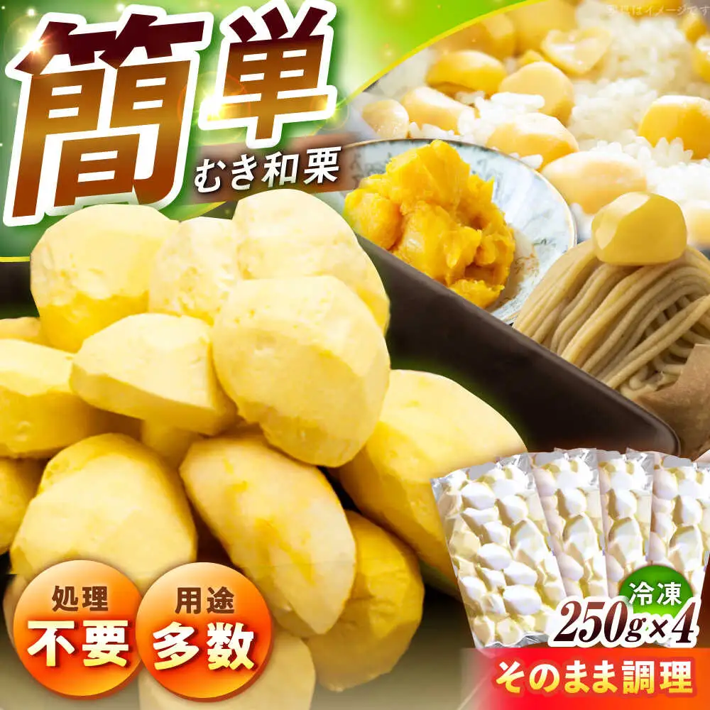 【先行予約】冷凍むき栗「日本栗」 計1kg（250g×4P） / 恵那市 / えな笠置山栗園 [AUAV003]