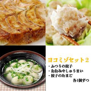 ヨコミゾセット２（ふつうの餃子・おおみやしゅうまい・餃子のたまご　各1個ずつ）　【11100-0483】