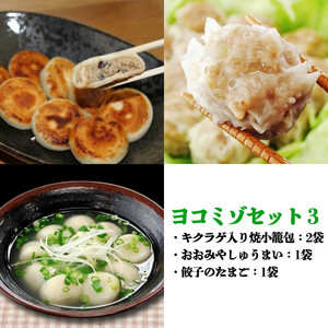 ヨコミゾセット３（キクラゲ入り焼小籠包×2・おおみやしゅうまい×1・餃子のたまご×1）　【11100-0484】