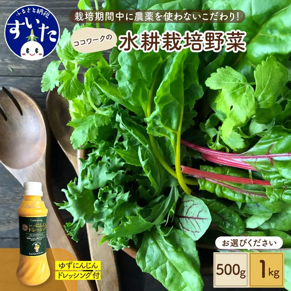 ココワークの水耕栽培野菜 約500g ゆず人参ドレッシング セット 