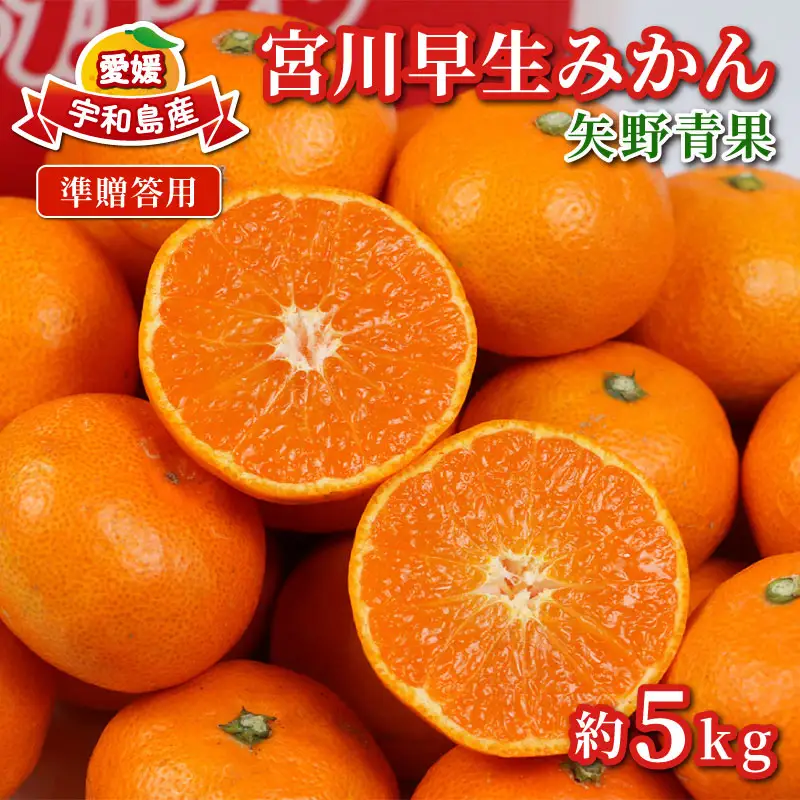 準 贈答用 みかん 宮川早生 5kg 矢野青果 準贈答用 温州みかん 柑橘 温州 うんしゅう 果物 くだもの フルーツ 濃厚 甘い 甘味 蜜柑 早生 贈答品 贈答 ギフト プレゼント 産地直送 農家直送 数量限定 国産 愛媛 宇和島 B012-171001