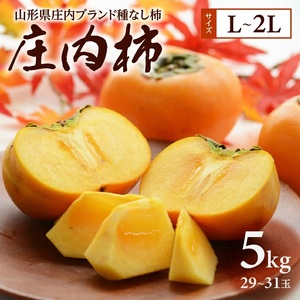 SA3072　果樹専業農家 佐藤農園の庄内柿　約5kg(29～31玉入)　L～2Lサイズ
