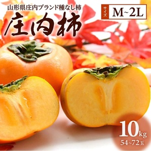 SA3073　果樹専業農家 佐藤農園の庄内柿　約10kg(54～72玉入)　M～2Lサイズ