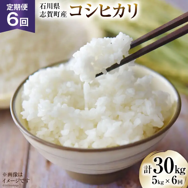 【6回 米 定期便】【令和8年産】米 コシヒカリ 5kg ×6回 総計 30kg