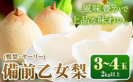 【先行予約】梨 なし 乙女梨 3～4玉 2kg 以上 石原果樹園 《11月中旬-12月下旬頃より発送予定》岡山県 浅口市 果物 フルーツ 梨 鴨梨 備前乙女梨 ヤーリー｜梨