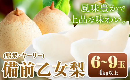 【先行予約】梨 なし 乙女梨 6～9玉 4kg 以上 石原果樹園　フルーツ 果物 新鮮 《11月中旬-12月下旬頃より発送予定》岡山県 浅口市 果物 フルーツ 梨 鴨梨 備前乙女梨 ヤーリー