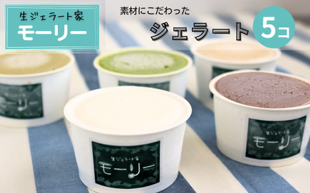 【生ジェラート家 モーリー】素材にこだわった ジェラート 5個 | ジェラート