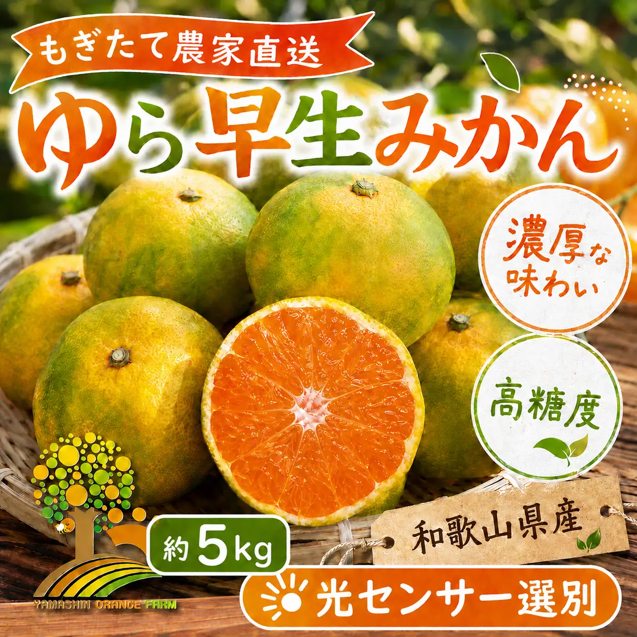 【先行予約】ゆら早生 みかん 濃厚な味わい 約5kg 希少品種《有機質肥料100％》極早生 ｜ 由良 ゆら 早生 わせ 柑橘 果物 くだもの フルーツ 和歌山 有田