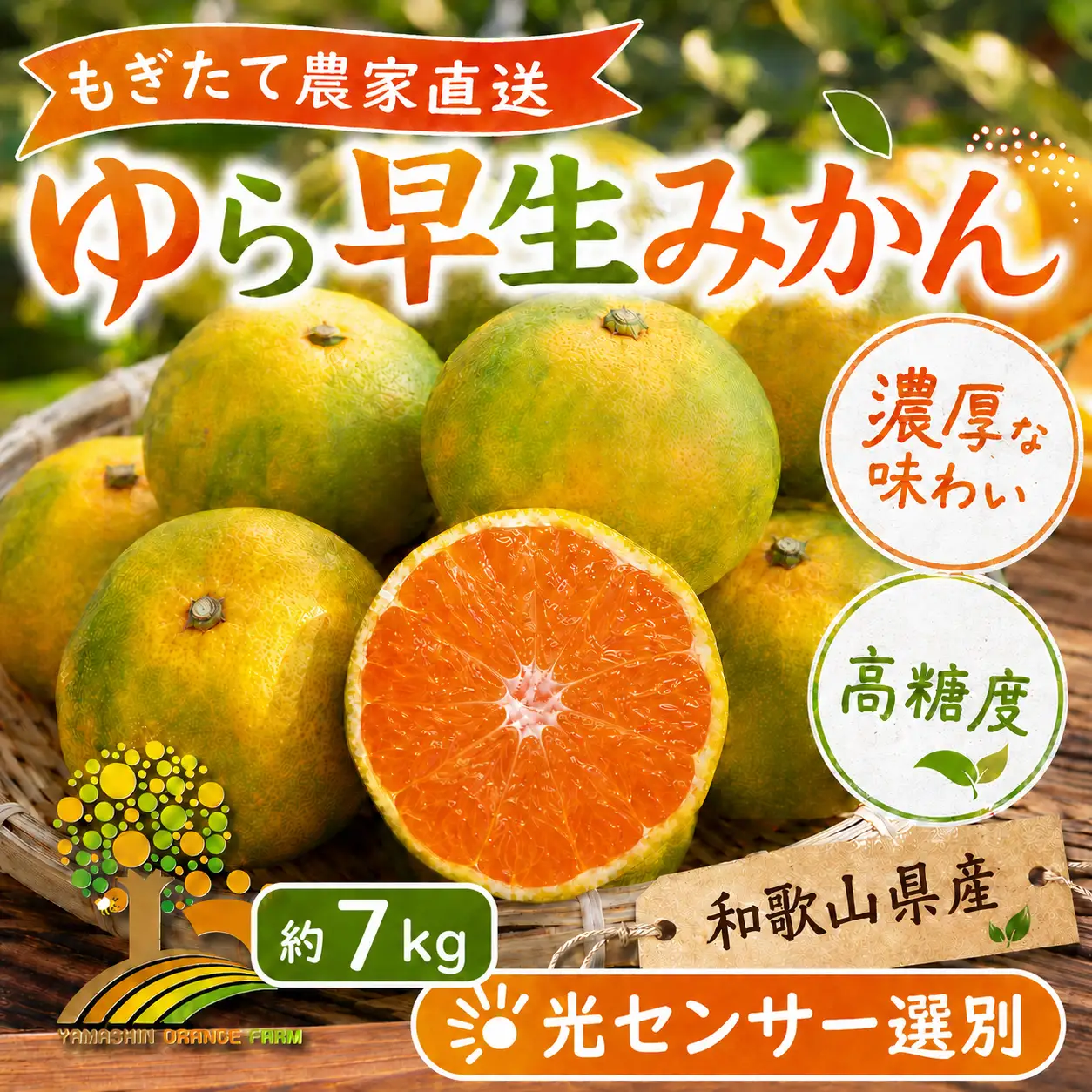 【先行予約】ゆら早生 みかん 濃厚な味わい 約7kg 希少品種《有機質肥料100％》極早生 ｜ 由良 ゆら 早生 わせ 柑橘 果物 くだもの フルーツ 和歌山 有田