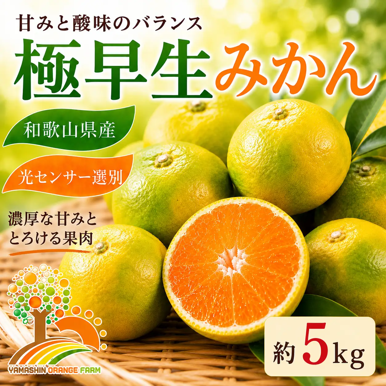 【先行予約】こだわりの極早生みかん 約5kg 農家直送 有機質肥料100% サイズ混合 ｜ みかん 極早生 早生 柑橘 果物 くだもの 果実 フルーツ 和歌山 有田