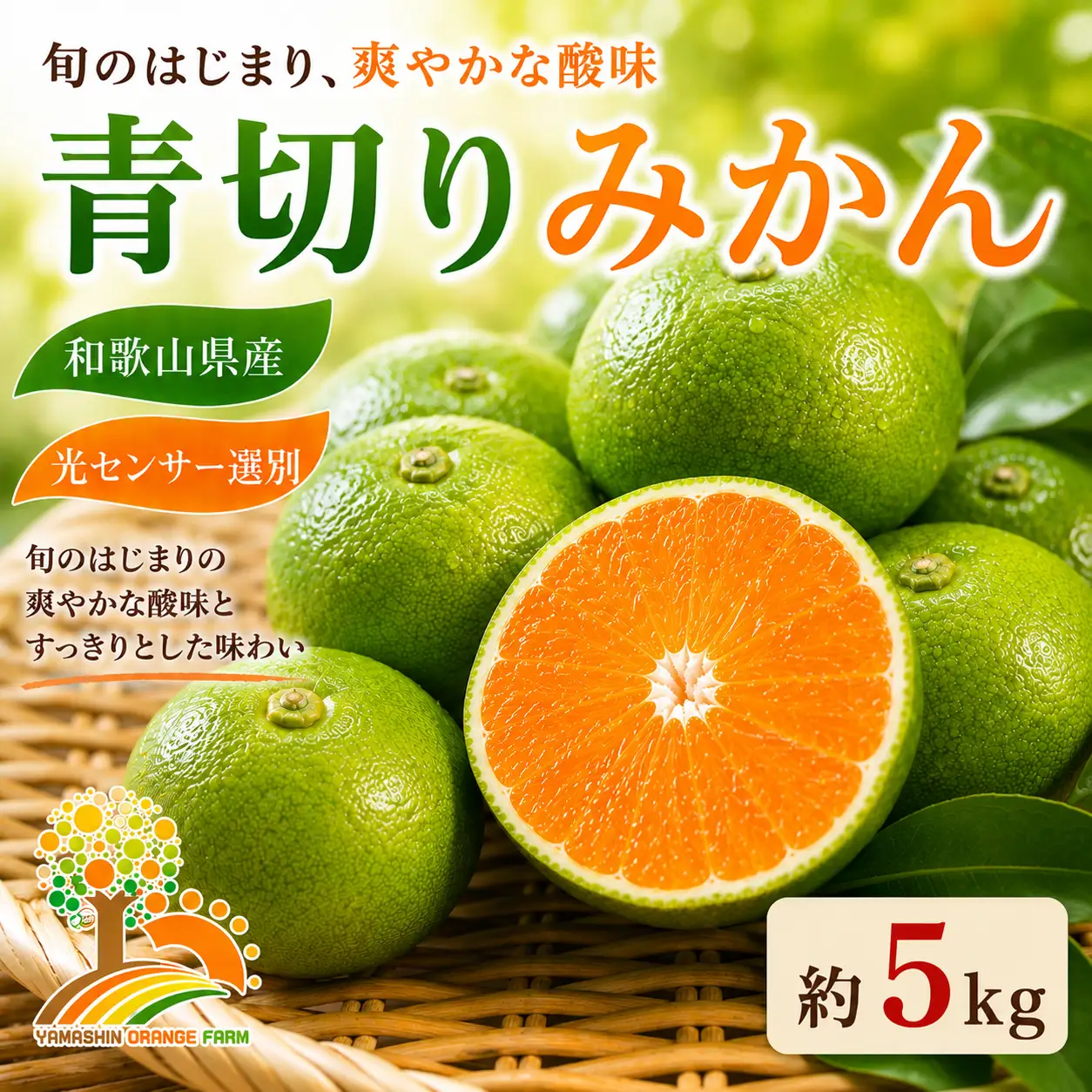 【先行予約】こだわりの青切りみかん 約5kg 農家直送 有機質肥料 100% サイズ混合 ｜ みかん