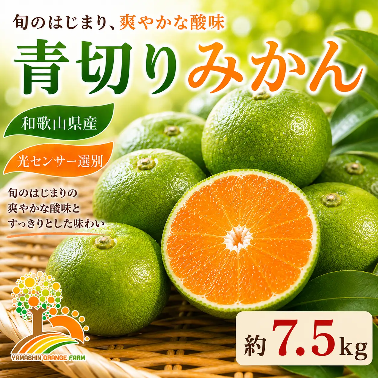 【先行予約】こだわりの青切りみかん 約7.5kg 農家直送 有機質肥料 100% サイズ混合 ｜ みかん