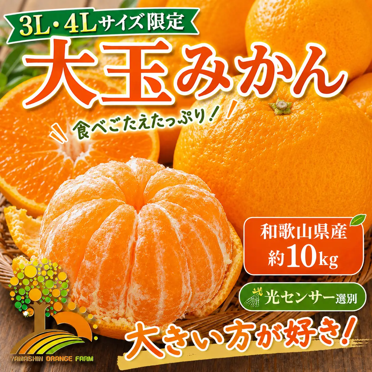 有田みかん 約10kg 大玉3L以上 有機質肥料100% ＼光センサー選別／ 農家直送 ｜ みかん