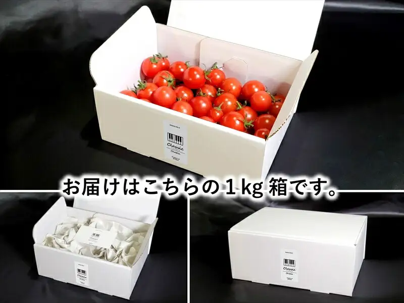 高糖度クラシックミニトマト『ショパン』約1kg箱＜北海道・沖縄県・離島は発送不可＞　長野県　信州　佐久市　野菜　旬彩　プチ　小粒