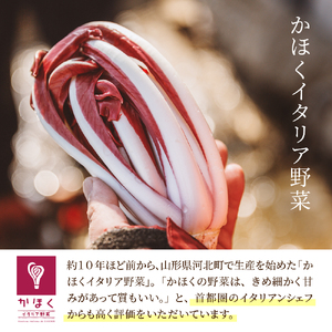 かほくイタリア野菜 旬のおまかせBOX（8～10種類）　野菜 山形