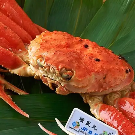 訳あり　釜ゆで松葉ガニ　冷凍　姿　船名タグ付き　400g以上【配送不可地域：離島】【1433203】