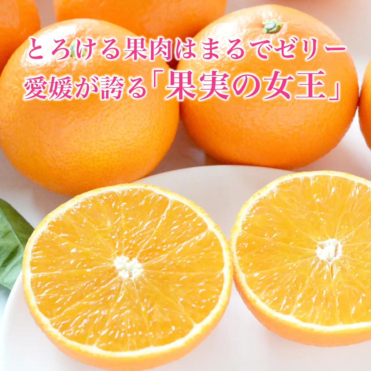 【先行受付】紅まどんな　化粧箱　3L～L　10～15玉　愛媛県　JAおちいまばり