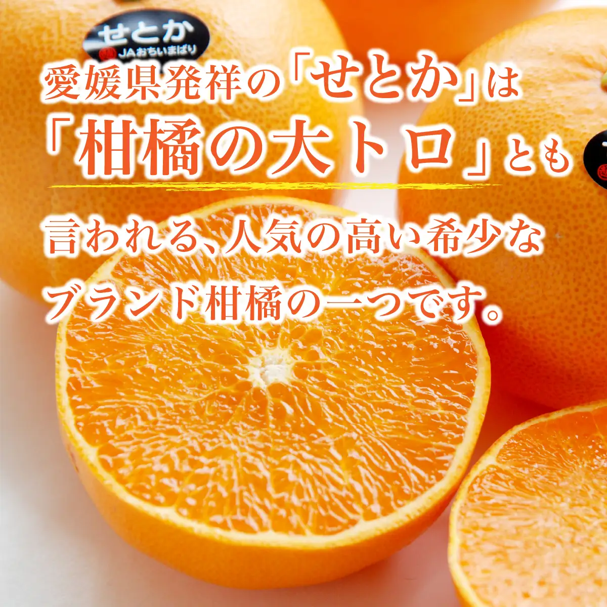 みかん せとか 化粧箱 3L～Lサイズ 10～15玉