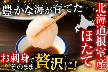 ＼漁業者応援品／【北海道根室産】お刺身ほたて貝柱500g A-42125