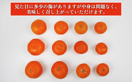 訳あり みかん 南柑20号 9kg まる玉農園 ﾐｶﾝﾐｶﾝﾐｶﾝﾐｶﾝﾐｶﾝﾐｶﾝﾐｶﾝﾐｶﾝﾐｶﾝﾐｶﾝﾐｶﾝﾐｶﾝ B010-172001