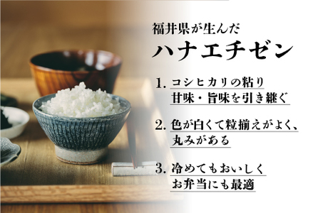 令和7年産 ハナエチゼン 10kg（5kg × 2袋）