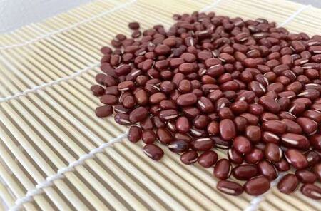 こし練り餡　1kg ※着日指定不可 _EL03