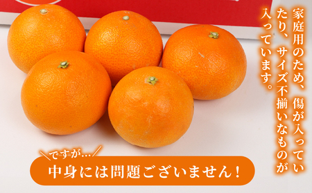 【愛果28号】 愛果28号 5kg 矢野青果 B014-171003