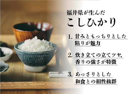 【寄付額見直し】【令和7年産】コシヒカリ 10kg（5kg ×2袋）