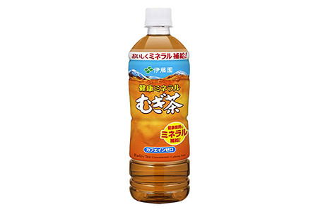 伊藤園 健康ミネラルむぎ茶 ＜650ml×24本＞【2ケース】