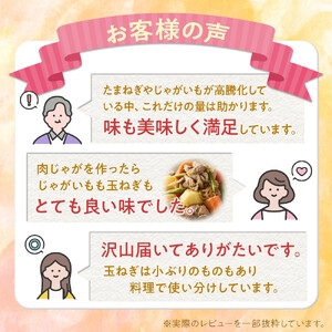 高評価★5.0【先行予約】サイズ不揃い訳あり 北の恵み玉ねぎ・じゃがいも 合計約12kgセット（2026年9月下旬から発送）| 玉ねぎ _02066